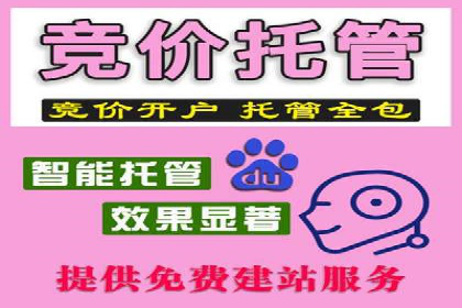 探索百度推广代理在电商行业的成功应用